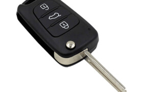 Immobilizer-key