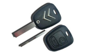 Immobilizer-key2
